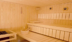 Sauna Kabinleri, Sauna, Spa